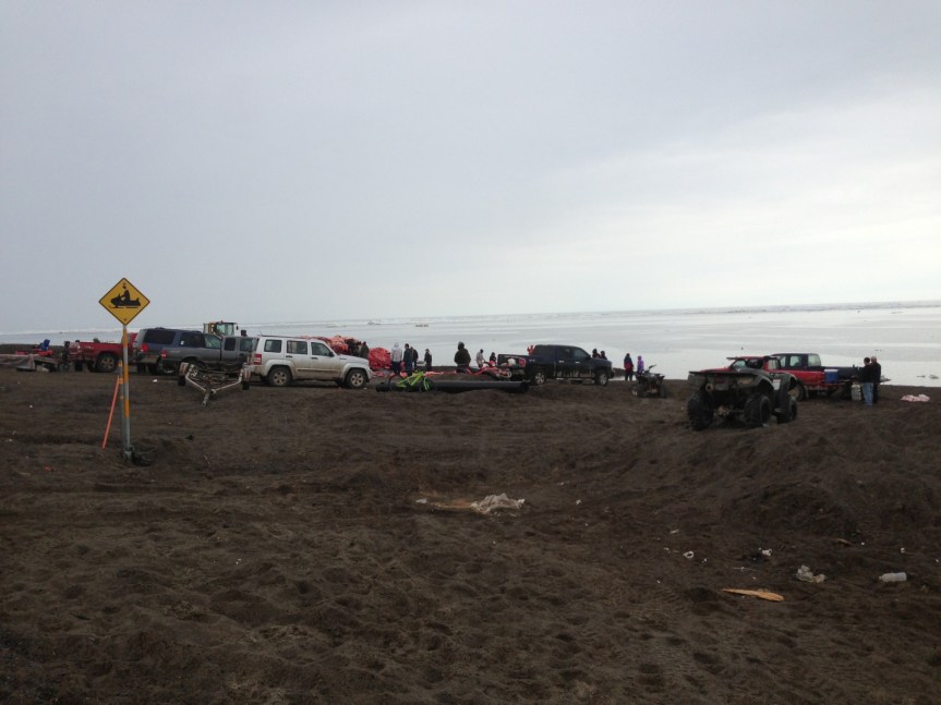 Approaching Anagi crew's whale.