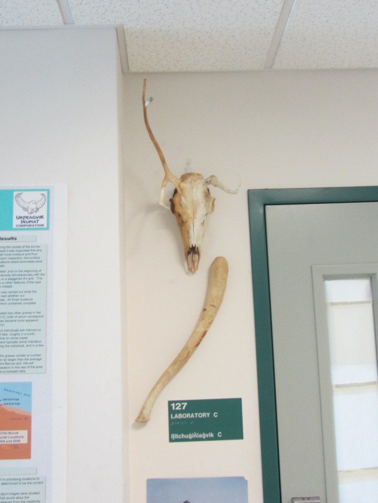 A addition to the decor