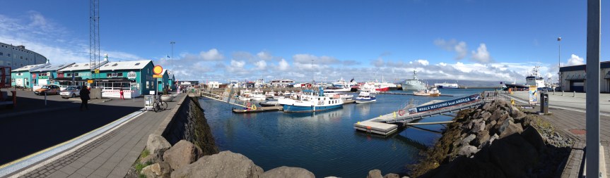 Reykjavik harbor 