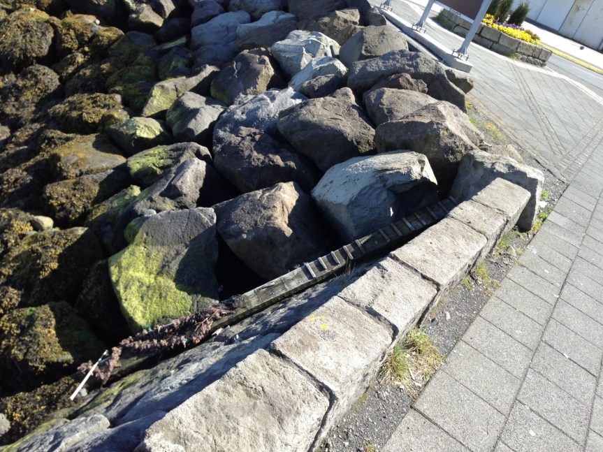 Ladder in the old harbor