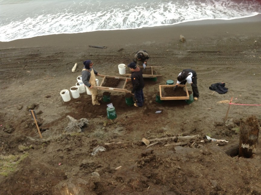 Dry screening on the beach.