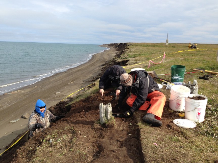 Excavating at Walakpa.