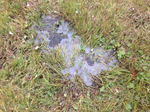 Ice on a tundra pond.