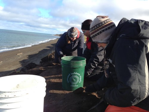 View from the south end of the trench, where I was digging. L to R: Mary Beth Timm, JoAnn Akootchook and Michael Berger.
