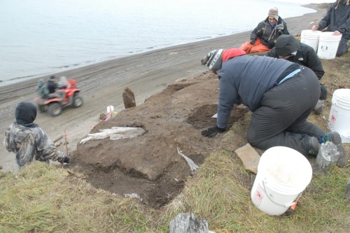 Excavating the disturbed layer. Note the Visqueen.