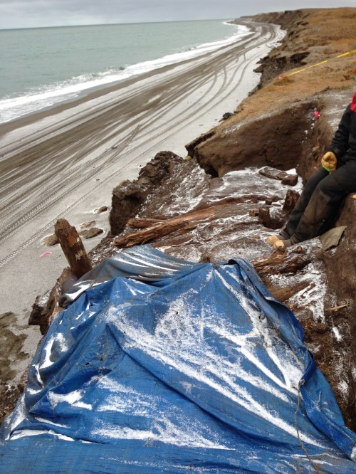 A dusting of snow on the site & the beach in the morning