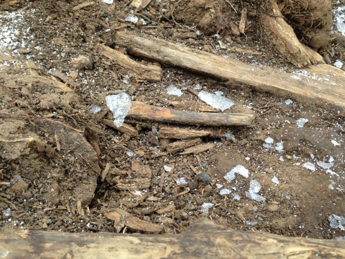 Shards of ice from the tarp after the site was uncovered.