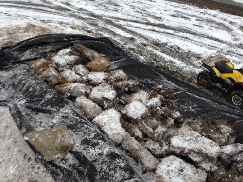 Sod back on the site.