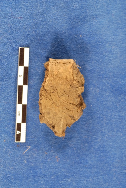 Rim sherd