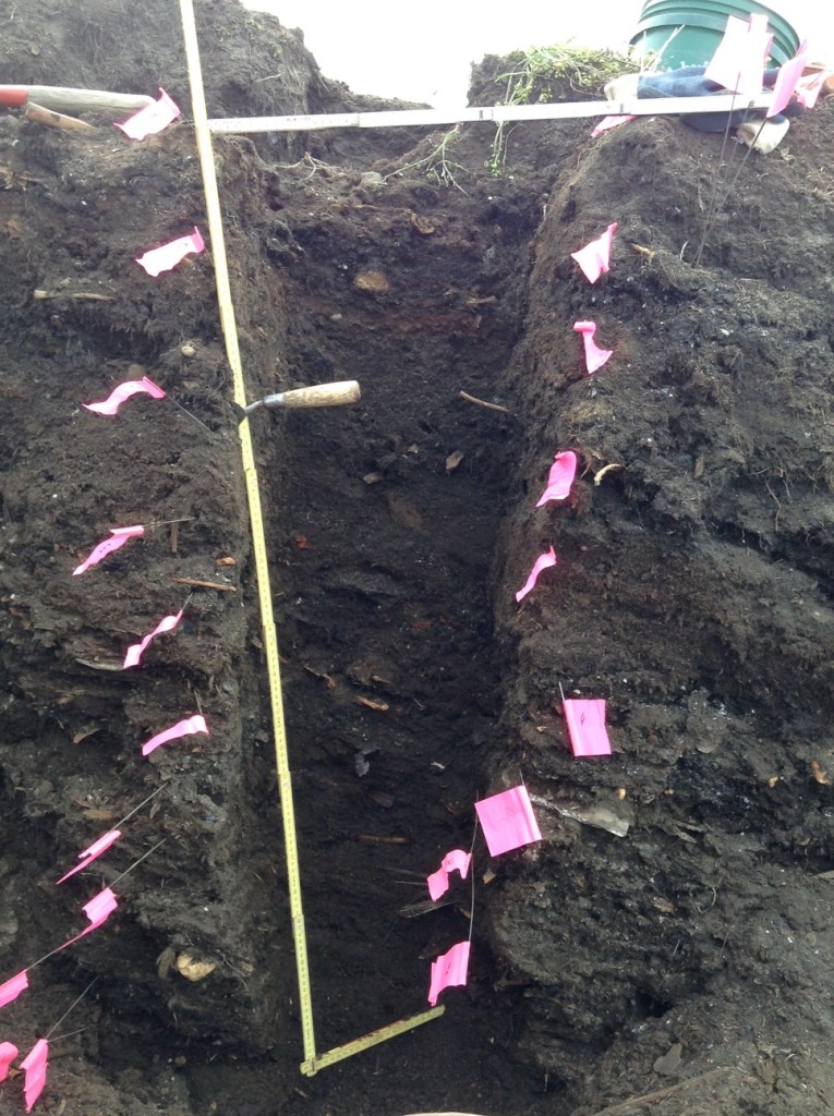 CS 2 after excavation and preparation for detailed profiling.