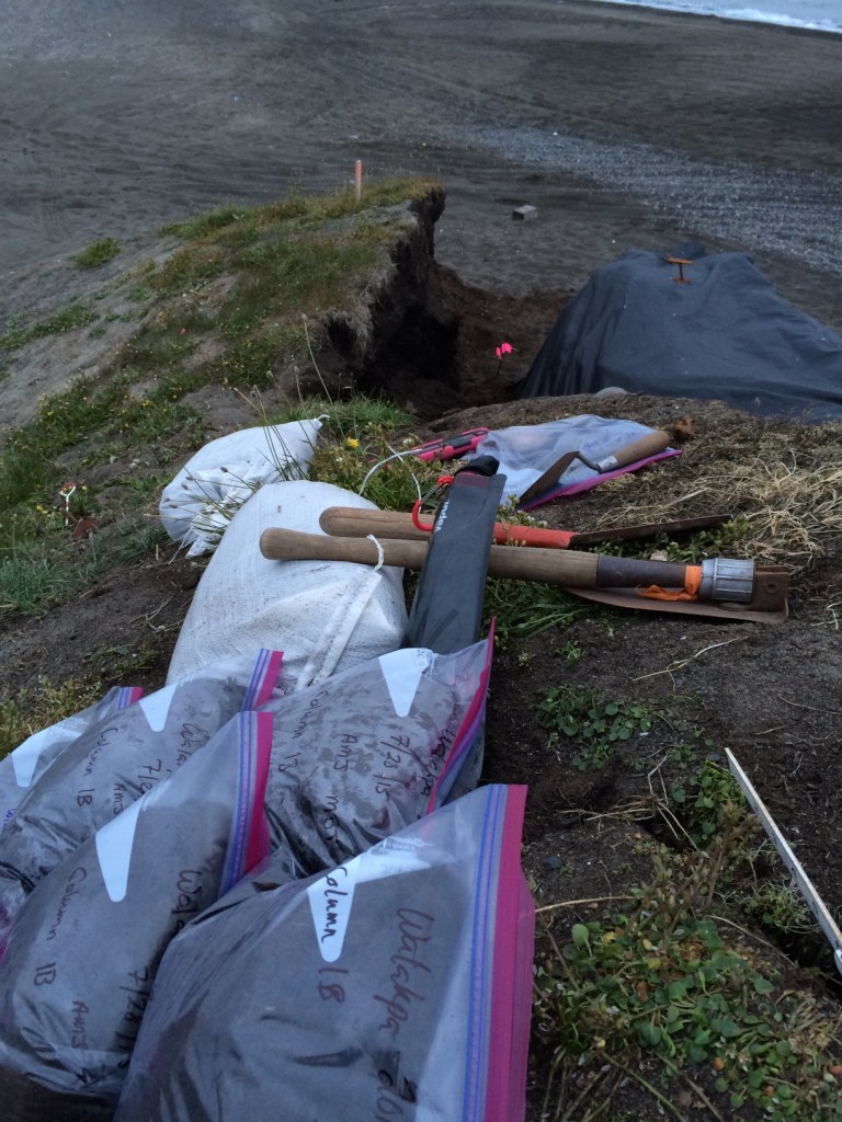 Results of our labor.