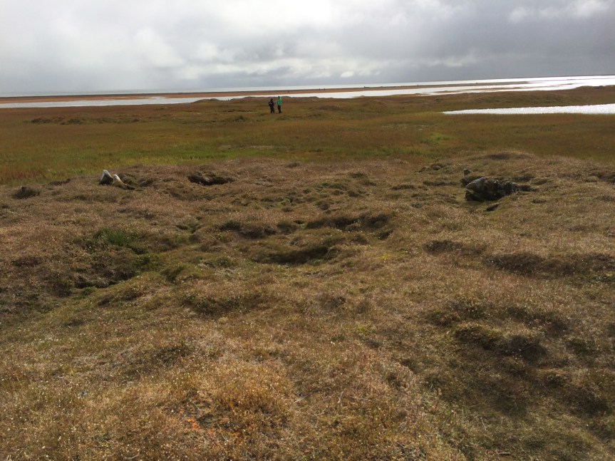 Part of the crew visiting one of the mounds at Birnirk.