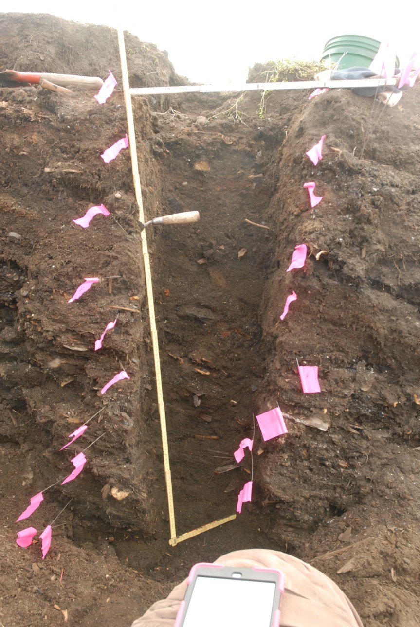 2015-07-30 12.43.15-2