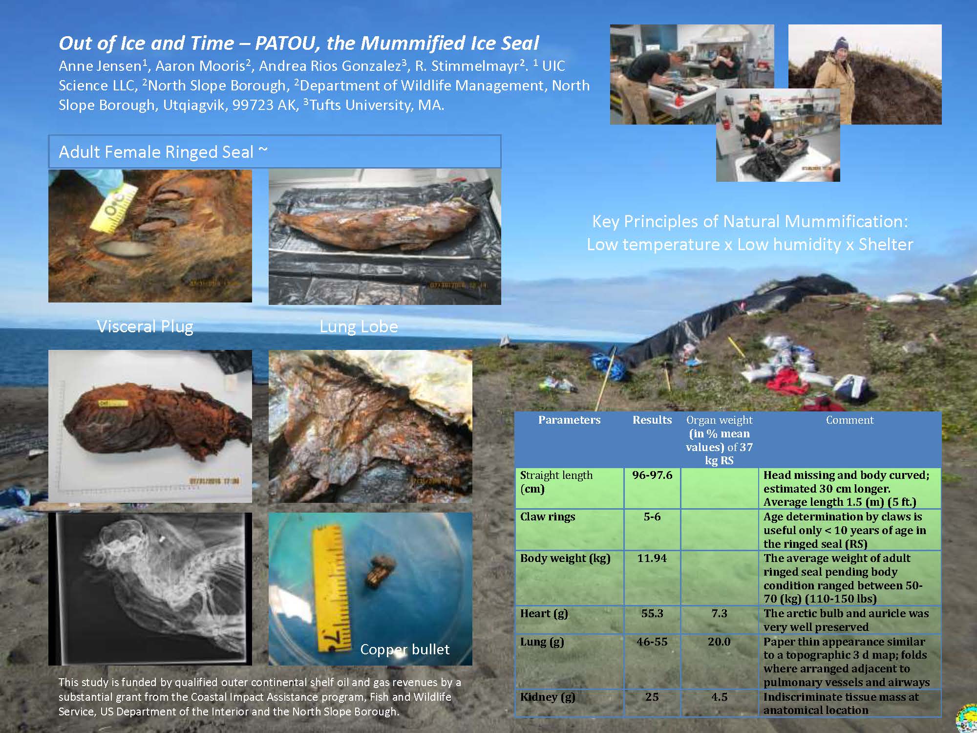 patou_amms2016_final