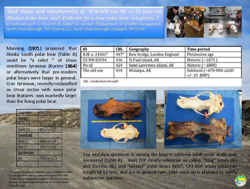 theoldone_amms2016_final